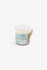 Evechantelle Candle-Coconut