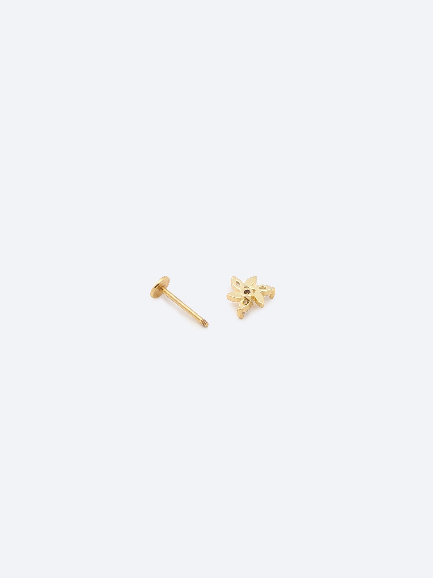 Celestial Seastar Gold-Tone Stainless Steel Stud Earrings