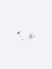 Celestial Seastar Silver-Tone Stainless Steel Stud Earrings